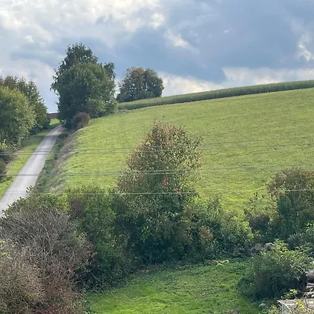 Pensionat Alte Post 3*